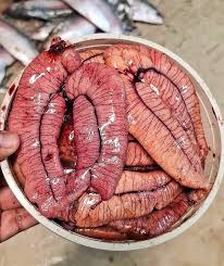 ইলিশের ডিম ১ কেজি 